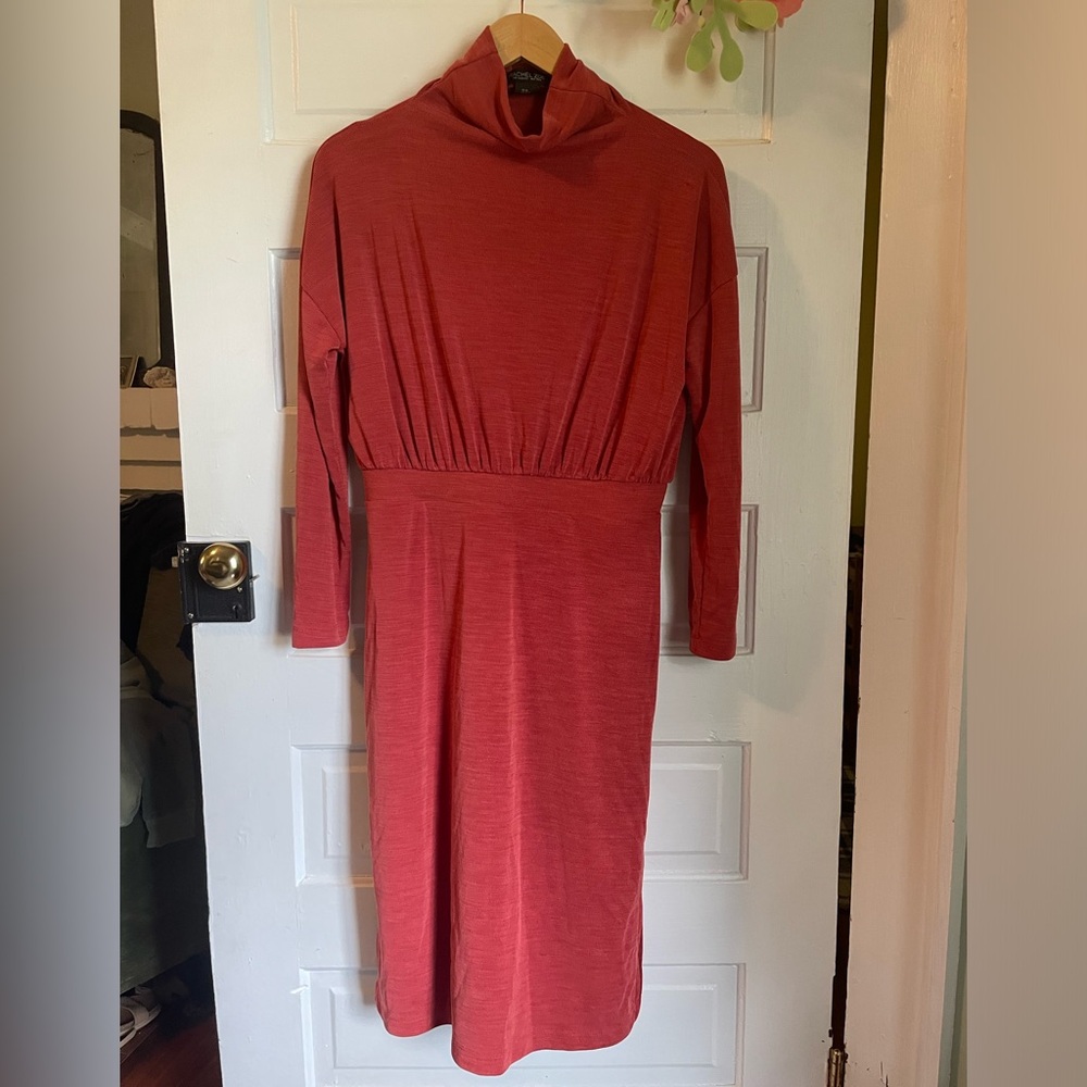 Rachel Zoe Rust Color Dress